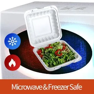 Ühekordsed keskkonnasõbralikud lõunakarbid