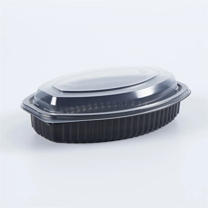 Väike ühekordne Bento Box