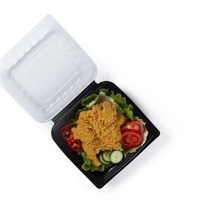 Plastikust kaasavõetavad konteinerid kuum toit