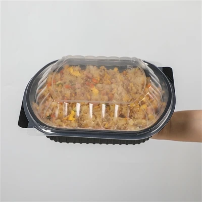 Plastic Togo Containers